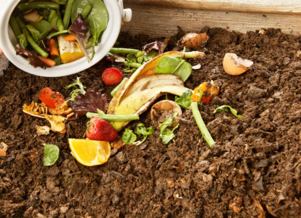 Composting Youth Participation and Education Initiative